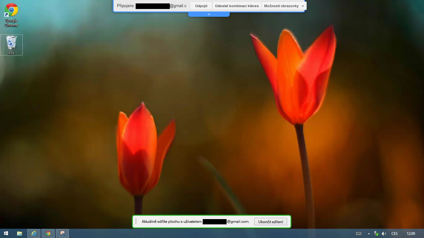 140503-vzdalena-plocha-chrome-img-3-